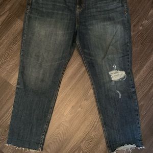 Jeans Size 16 Brand New